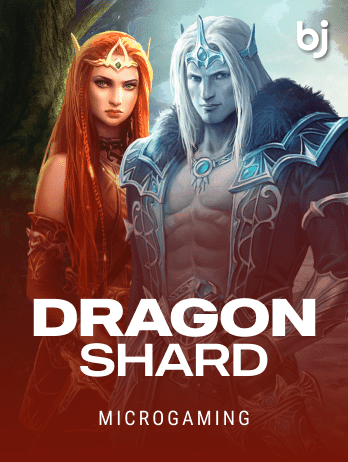 Dragon Shardpng icon